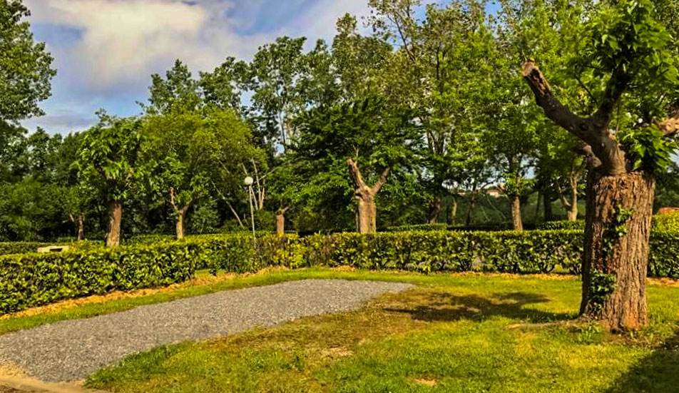 emplacement cambo-les-bains