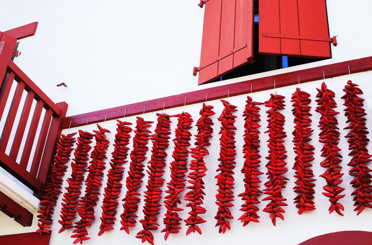 camping proche village espelette