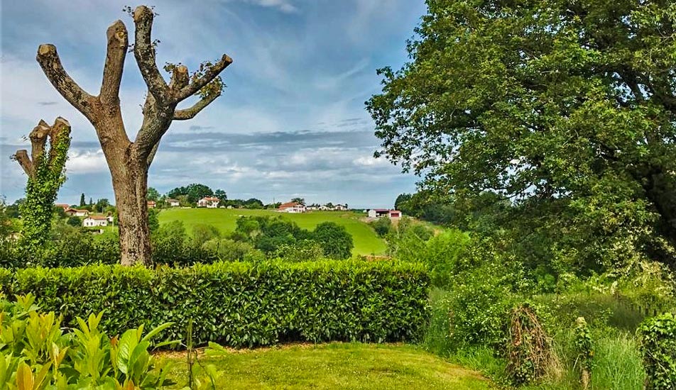 location emplacement cambo-les-bains